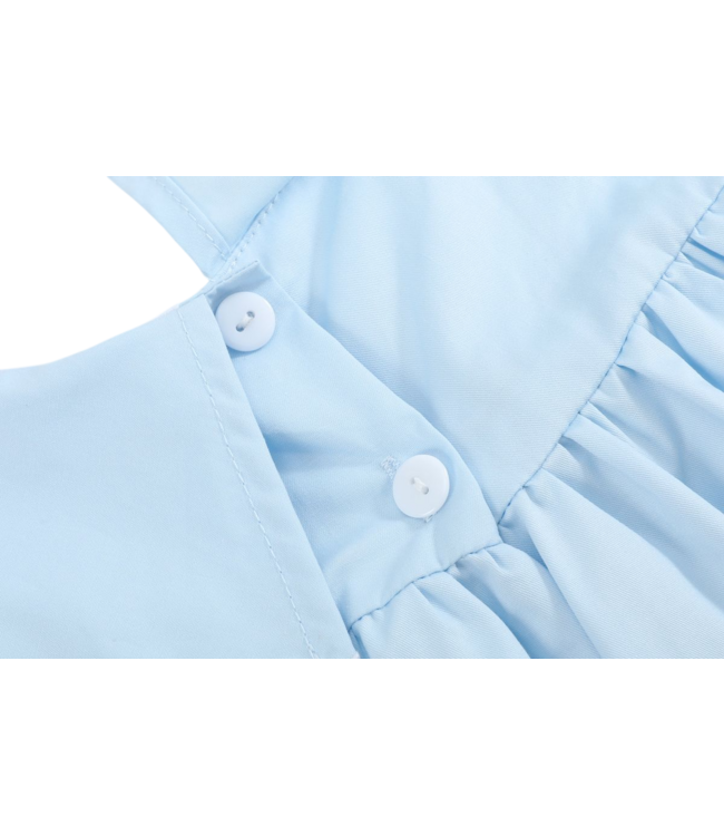 Lil Cactus Light Blue Bunny & Flowers Dress