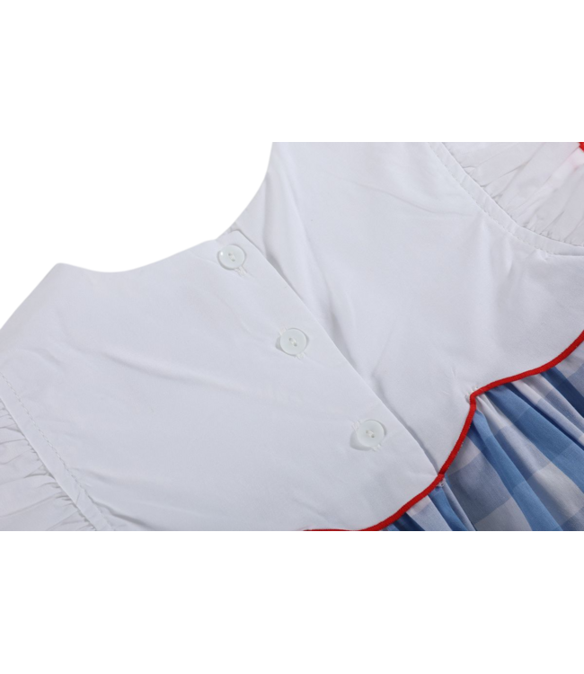 Lil Cactus Red/White/Blue Flutter Dress