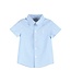Blue Gingham Easter Bunny Dress Shirt