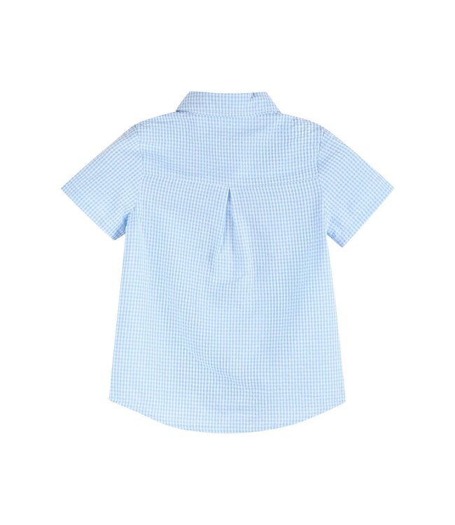 Lil Cactus Blue Gingham Easter Bunny Dress Shirt