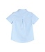 Blue Gingham Easter Bunny Dress Shirt