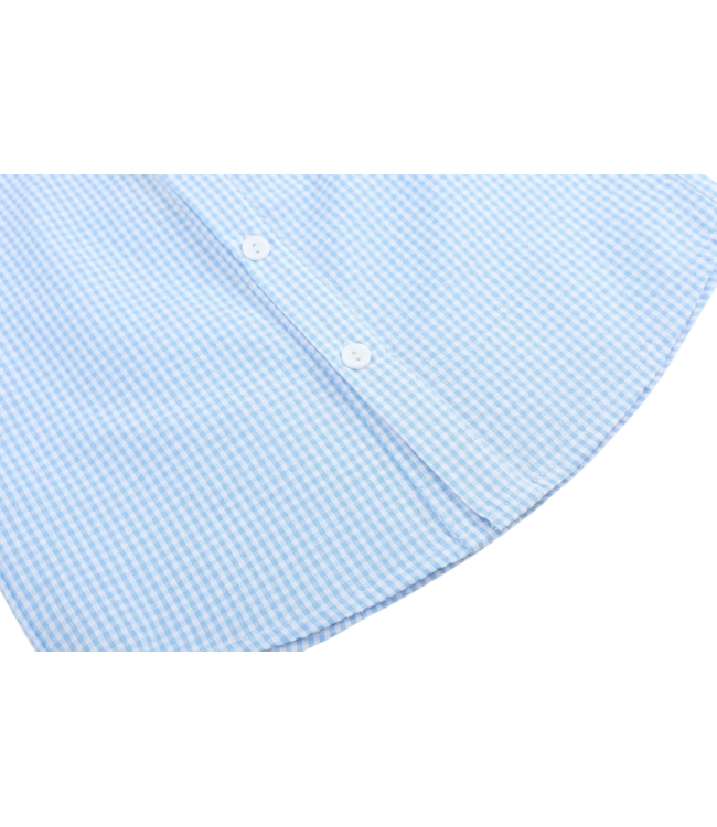 Lil Cactus Blue Gingham Easter Bunny Dress Shirt