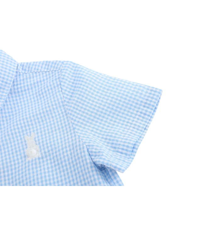 Lil Cactus Blue Gingham Easter Bunny Dress Shirt