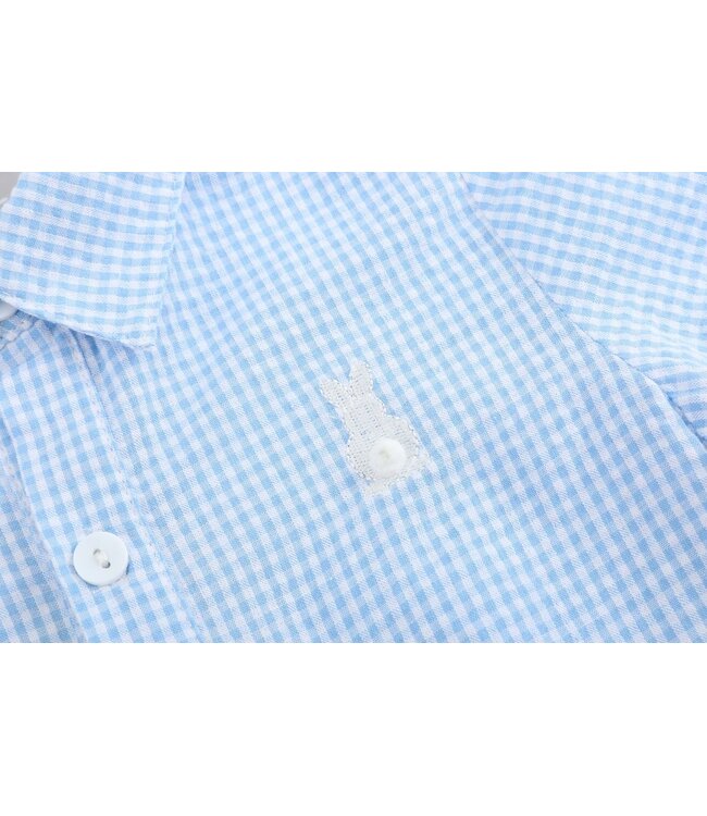 Lil Cactus Blue Gingham Easter Bunny Dress Shirt