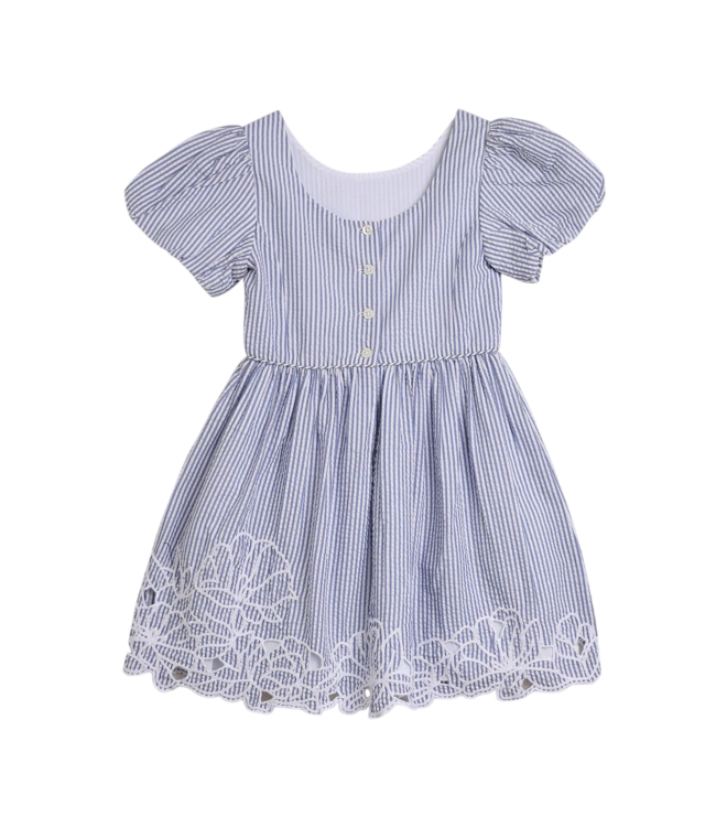 Blue Seersucker Embroidered Dress