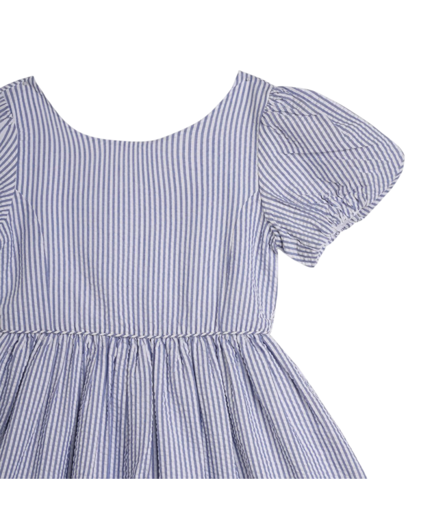 Blue Seersucker Embroidered Dress