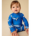 Hammerhead Sharks Rash Guard Swimsuit