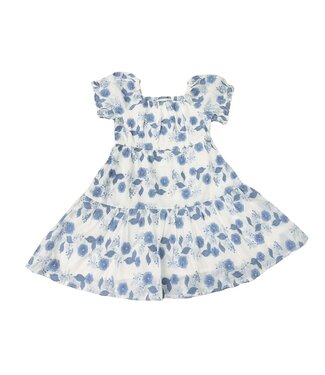 Alto Modas Blue Floral Joy Dress