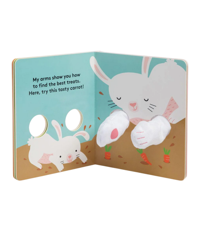 hachette book group Hug Me Little Bunny