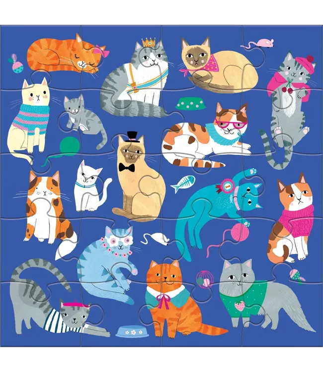 hachette book group Cats & Dogs Magnetic Puzzles