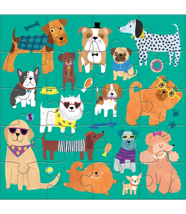 hachette book group Cats & Dogs Magnetic Puzzles