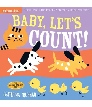 hachette book group Indestructibles: Let's Count