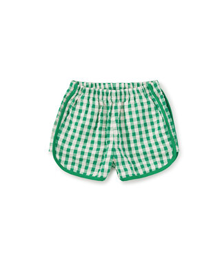 Tea Collection Garden Party Check Woven Dolphin Shorts