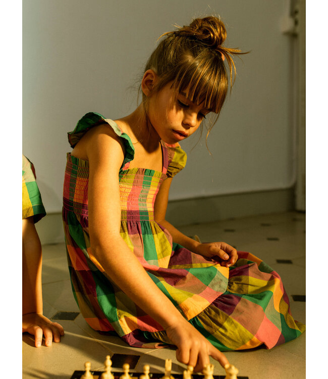 Tea Collection Barcelona Plaid Smocked Flutter Sleeve Dress