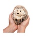 Douglas Spunky Hedgehog-Small