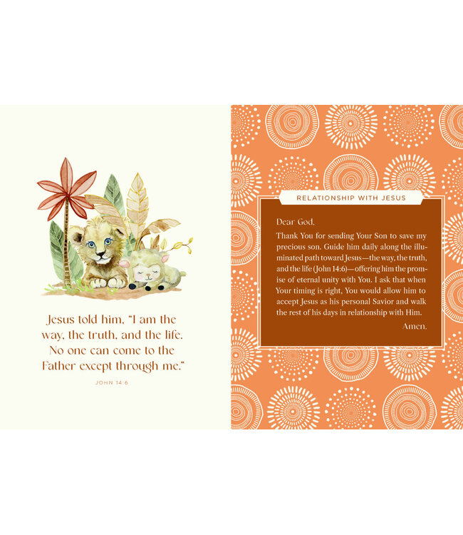 Harvest House Prayers for my Baby Boy