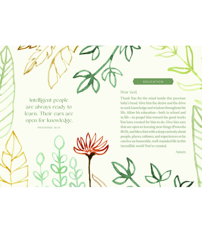 Harvest House Prayers for my Baby Boy