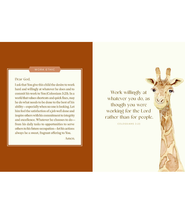 Harvest House Prayers for my Baby Boy