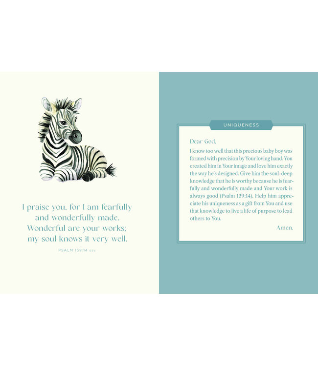 Harvest House Prayers for my Baby Boy