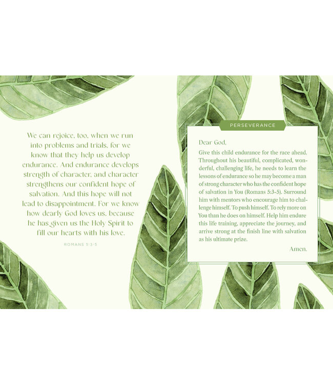 Harvest House Prayers for my Baby Boy