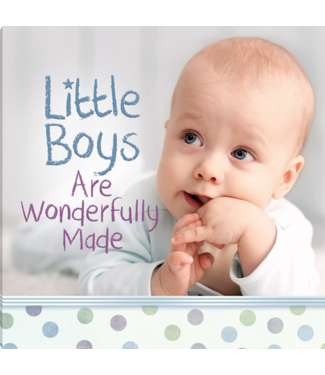 Harvest House Little Boys are Wonderfully Made