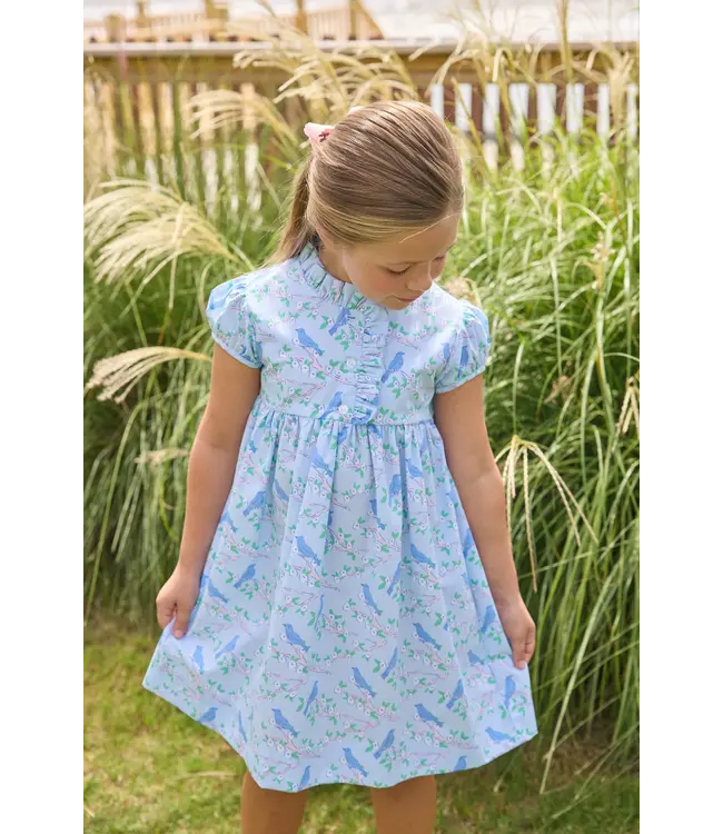 Little English Cherry Blossoms Birdie Dress