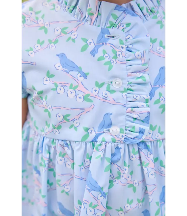 Little English Cherry Blossoms Birdie Dress