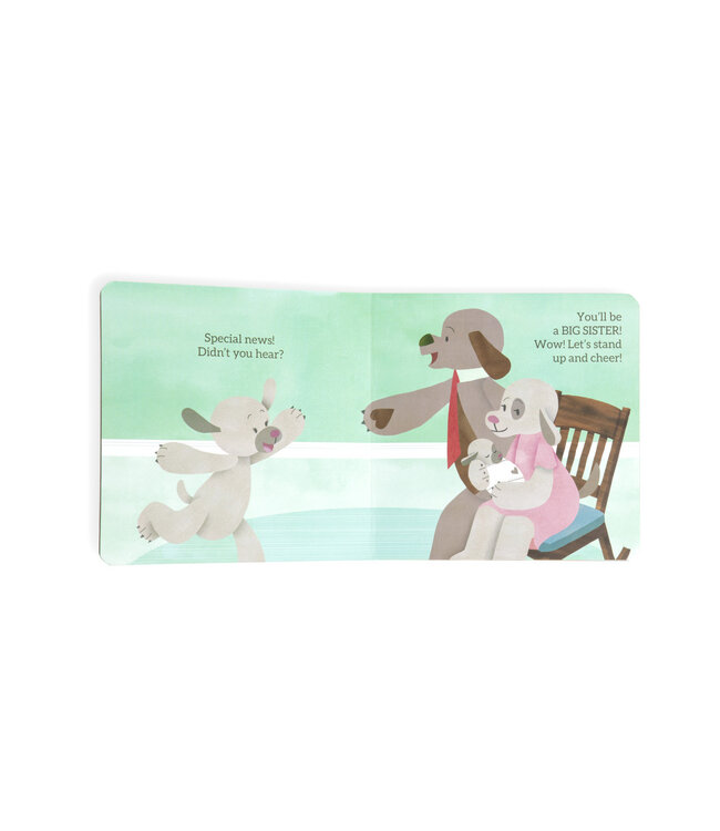 demdaco You're Going To Be A Big Sister Book