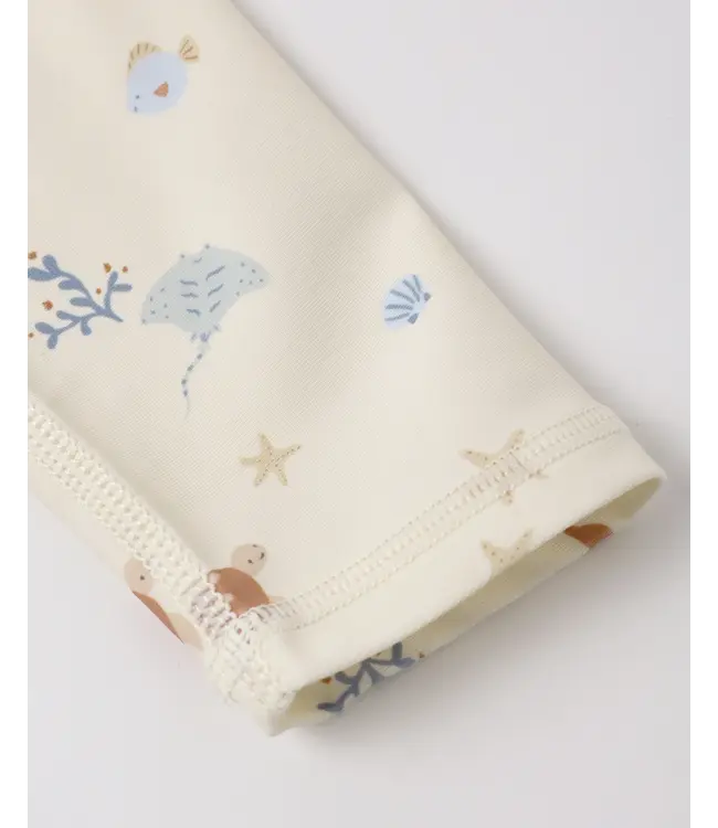 Rylee & Cru Aquatic Boys Rash Guard Set