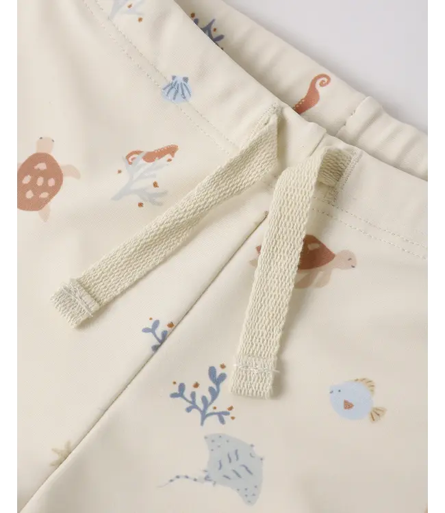 Rylee & Cru Aquatic Boys Rash Guard Set