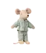 Little Brother Mouse in Matchbox