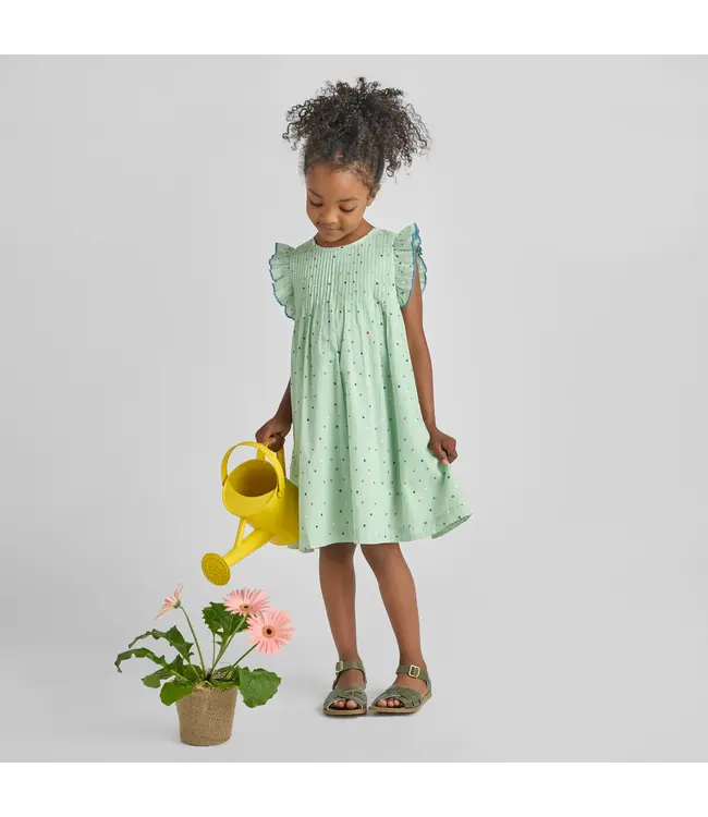Pink Chicken Pastel Green Polka Dot Jaipur Dress