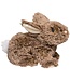 Douglas Taylor Mocha Bunny, Small