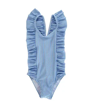 Bailey Boys Blue Stripe Seersucker Swimsuit