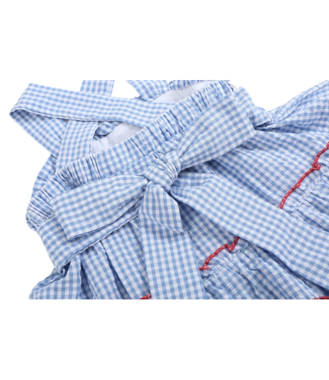 Lil Cactus Blue Gingham Crawfish Layered Sundress