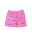 chubbies The Pink Apex Swimmers Boys Swim Trunks
