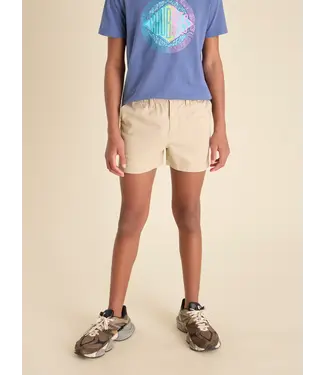 chubbies Light Khaki The Khakinators Shorts