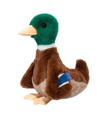 Douglas Desie Mallard Duck