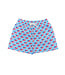 Saltwater Boys Co. Flag Saint Simons Swim Trunks
