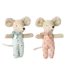 Twins, Baby Mice in Matchbox