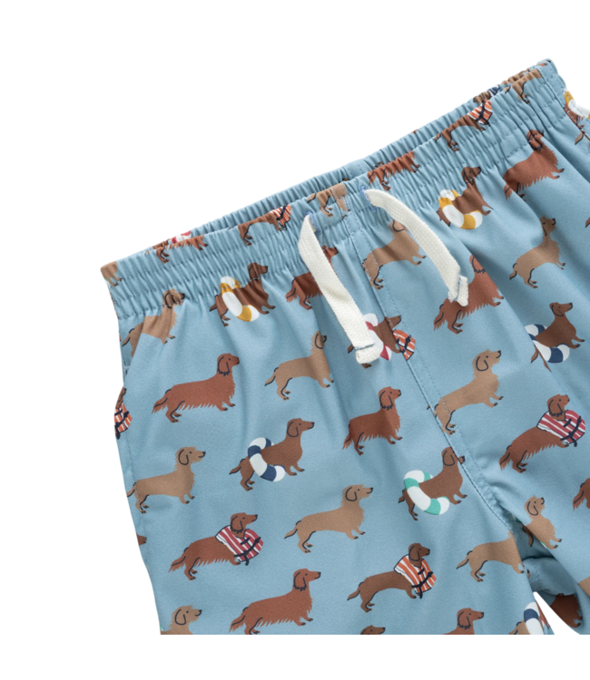 Pink Chicken Swim Dachshunds Swim Trunk