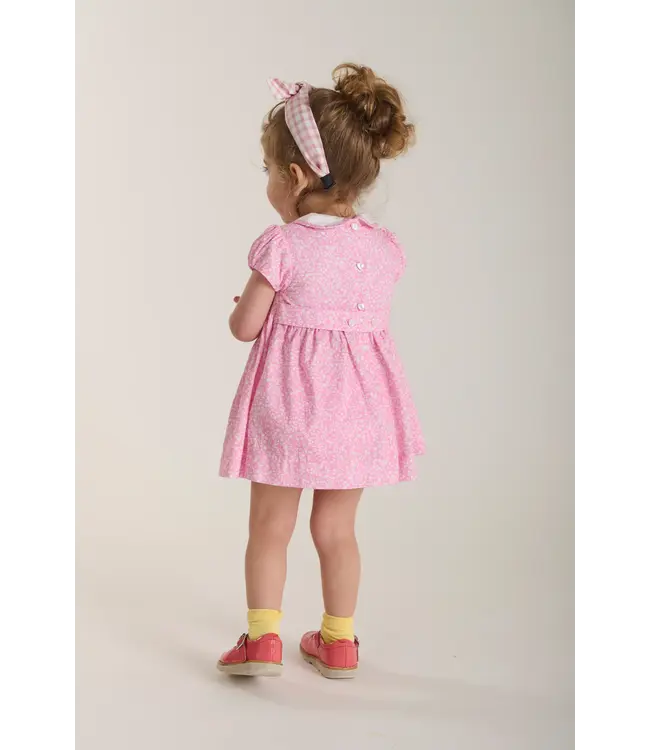 Question Everything Erica Dress