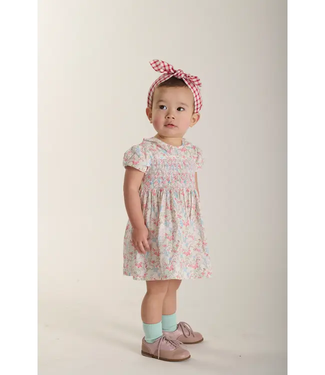 Question Everything Linnea Baby Dress