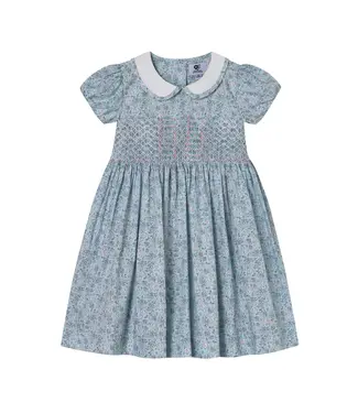 Question Everything Avis Dress