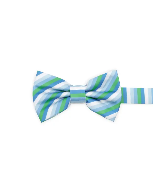 Pre-Tied Bow Tie