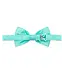 Pre-Tied Bow Tie