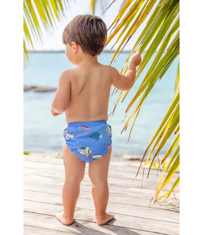 Here Fishy Fishy Beach Bum Cover