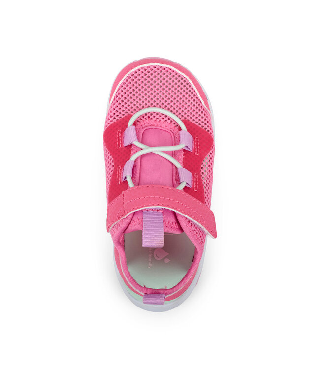Hot Pink Aven