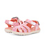 Pink Shine Paley II
