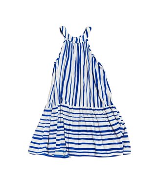 Joyous & Free Royal Stripe Emerson Dress